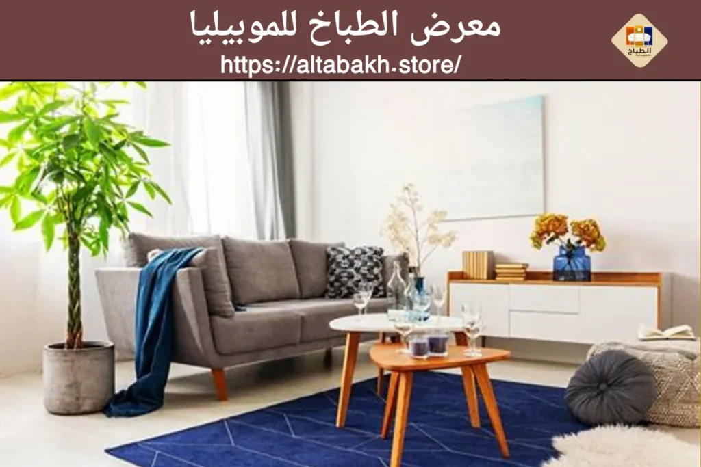 ديكور بيت بسيط 